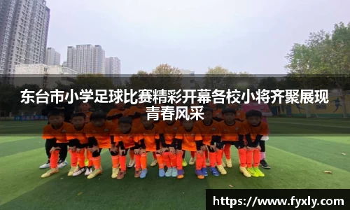 东台市小学足球比赛精彩开幕各校小将齐聚展现青春风采