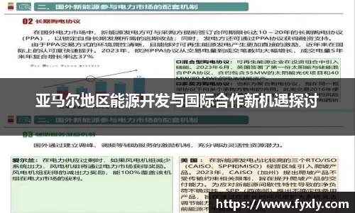 亚马尔地区能源开发与国际合作新机遇探讨