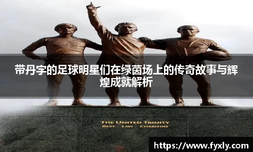 带丹字的足球明星们在绿茵场上的传奇故事与辉煌成就解析